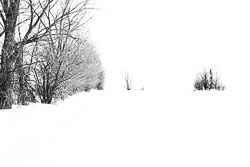 Rang-Scott_20100124_2998.jpg