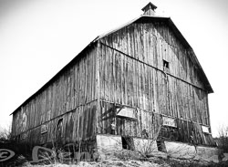 Grange-Potterton_20090317_0978.jpg